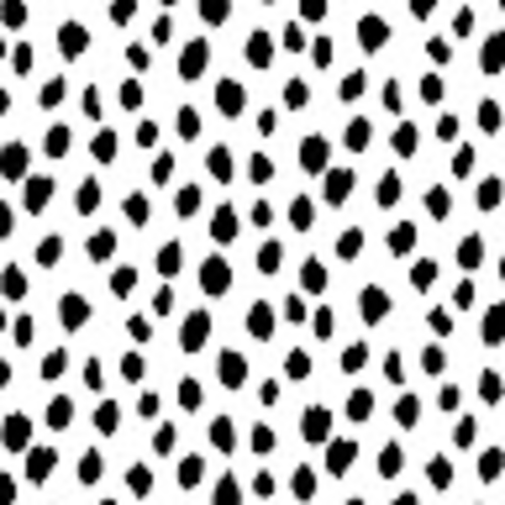 Meet your Posher, Cali